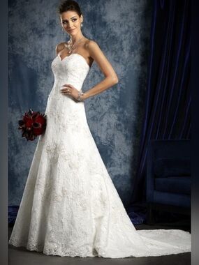 Alfred Angelo Style 801 Strapless Lace A-Line Wedding Gown (Read Description)